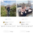 예담살롱 | W. 모바일 청첩장 :: 살롱드레터 청첩장 내돈내산 후기 (feat. 신도림 더세인트 길안내)