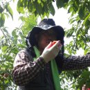 산심농장 이미지