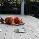 TACET펜션 이미지