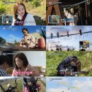 더단아