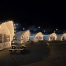 월아산자연휴양림(진주) | 🌙 월아산 숲속의 진주 자연휴양림 1박 + 밤벚꽃까지 완벽했던 하루