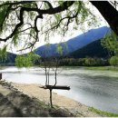 주막촌이가 이미지