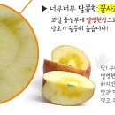 금풍농장 이미지