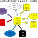 컴퓨터그래픽스2015 출석수업시험정리 이미지