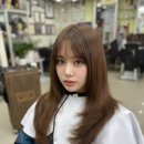 헤어두비취 이미지