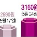 비씨무역 이미지