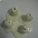 솔 피시 이미지