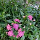 토골농장 이미지