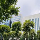 인터매니아 | 선릉역 가성비 맛집 추천 | '정미숙' 6900원 돈까스 무한리필 혼밥 후기