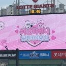 무봤나촌닭 사직점 | 240611 ::롯데 vs 키움:: 에스더버니데이라면서 에스더버니 유니폼 안입어줘서 아쉬운 날!! 야구라도...