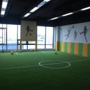 JNS 유도체육관 이미지