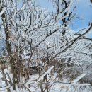 백둔리 주차장 이미지