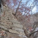 새울신협 이미지