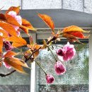 중탑 어린이공원 이미지