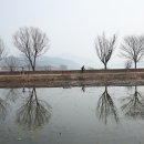 머리풍경 이미지