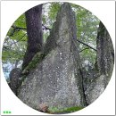 파평삼거리 | 산행기 - 논산 노성산(2025.9.13)