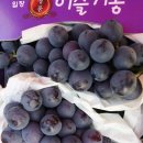 연수네농장 이미지