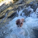 천하장사가든 이미지