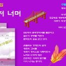 천개의언어
