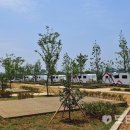 회산백련지 이미지