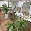 서초대로25길 85 이미지