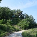 영풍두월리약사여래석불 이미지