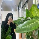 풀로진 | 구로역미용실 오로진헤어 신도림점, 편안한 헤어샵 아윤채 모발풀크리닉 후기