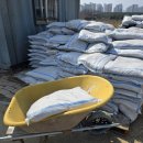 병동농장 이미지