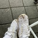 동탄기흥로 | 기흥호수공원 러닝코스 후기 | 주차 꿀팁부터 황화코스모스까지