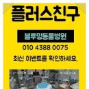 광주동물병원 네이버블로그