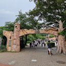 서울 어린이대공원 동물원 &amp; 공연 후기 🐘 주차장 추천