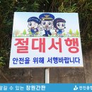 전진종합광고사 - 창원시 의창구 | 전진종합광고사