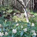 새덕목장 이미지