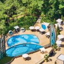 파라스파라 서울 이미지