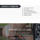 브이세븐(V7) 이미지