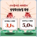 안양축산농협안