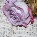 스카이 ENG 이미지