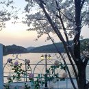 물댄동산 이미지