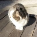 아리따울나 네이버블로그