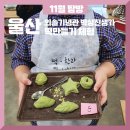 (주)초록배낭 이미지