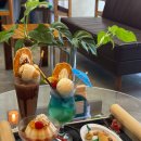 양말코히 이미지