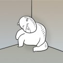 부산 W웨딩 vs 다이렉트웨딩 비교 후기 (장단점 솔직 정리)