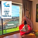 루시드엠 | 제주 산방산 근처 숙소 루시드엠펜션 10만원대 가성비 조식 온천