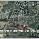 아산5호 이미지