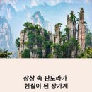 행정용 72 | 장가계 여행 가이드｜아바타 배경지 원가계·천문산·유리다리 총정리