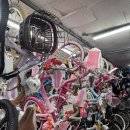 신매탄 | 삼천리 어린이자전거 레스포 하이킥 20인치 보조바퀴 가격 정보 및 점검 후기