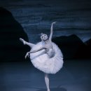 국립발레단 ’백조의 호수’ 이미지