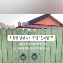 온하임 이미지