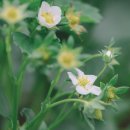 구자농장 이미지