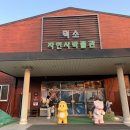 덕소자연사박물관 | 비 오는 날 아이와 가볼만한곳, 남양주 덕소자연사박물관 솔직 후기